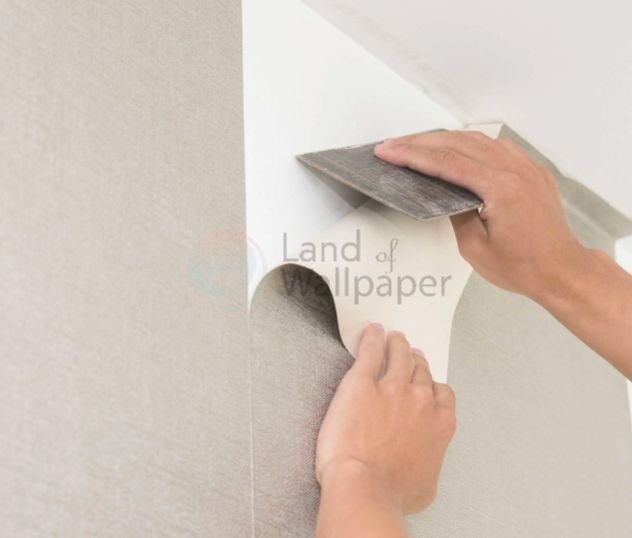 Wall Paint Remover