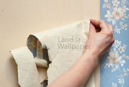 Wallpaper remover